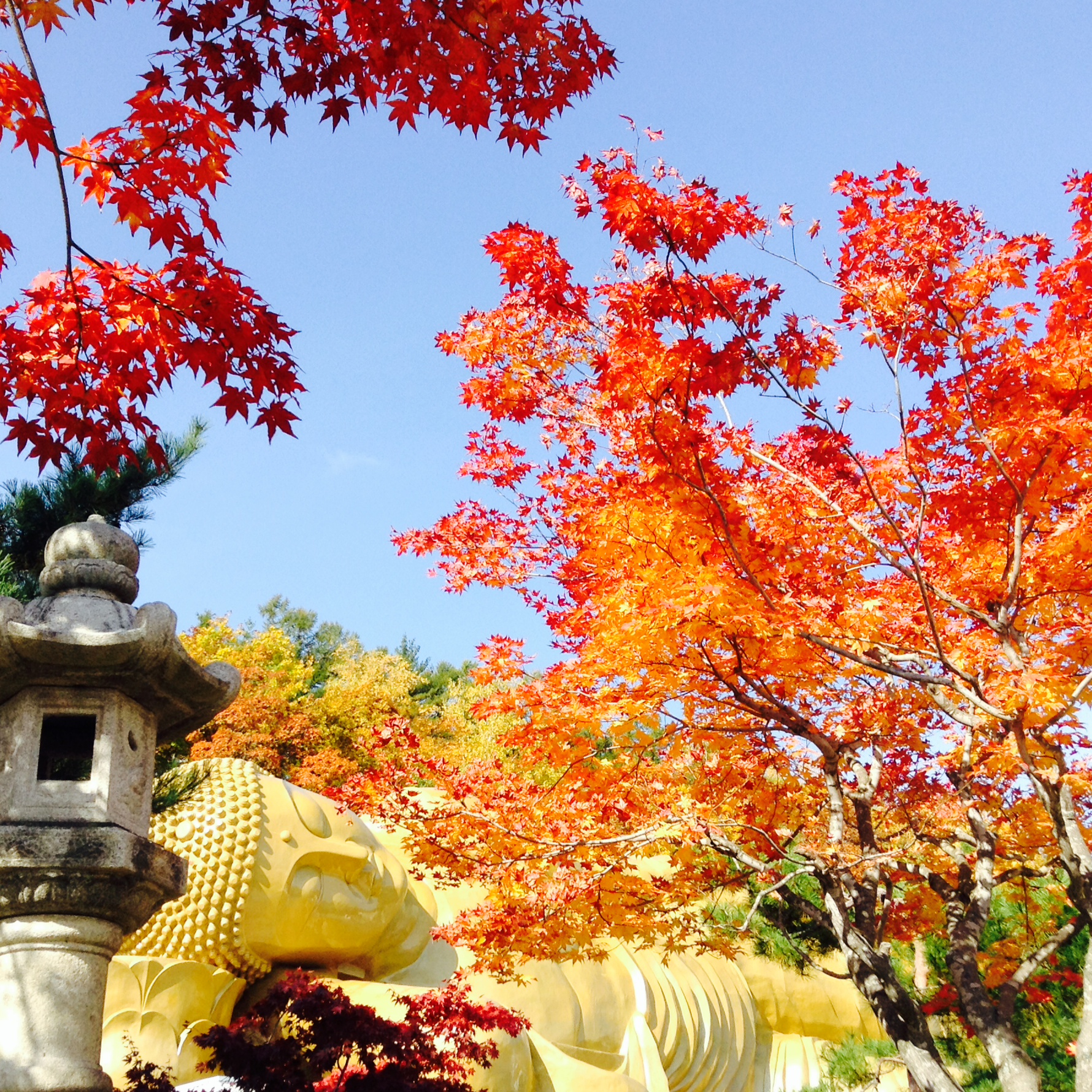 華フリマ 札幌 佛願寺大涅槃聖堂からのお知らせ